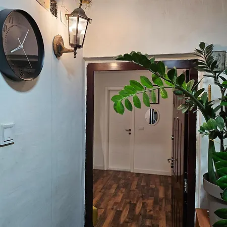 Charming, Cozy & Joyful Modern Oasis *