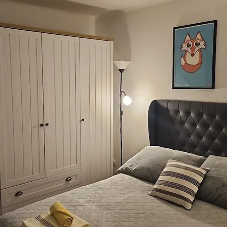 Charming, Cozy & Joyful Modern Oasis *